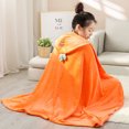 thumbnail image 1 of Textile City Cute Cartoon Hooded Throw Blanket Coral Velvet Soft Solid Wearable Adult Children Blanket Hoodie for Autumn Winter (Carrot,kids 1x0.8M), 1 of 7