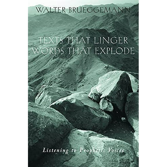 Pre-Owned Texts That Linger Words That E (Paperback) 0800632311 9780800632311