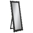 thumbnail image 1 of Mckay 24 x 63 Inch Acrylic Frame Standing Mirror Smokey Grey, 1 of 3
