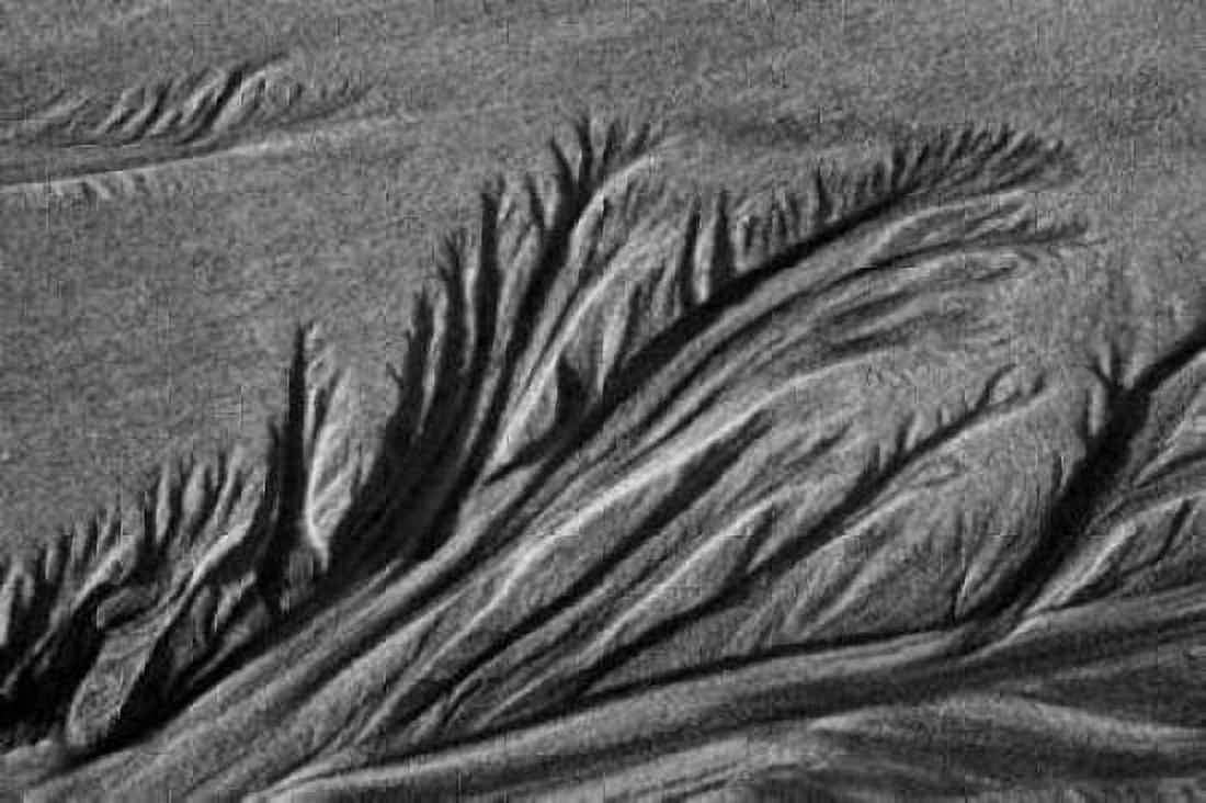 Texture Sand III Canvas Art - Lee Peterson (24 x 36)