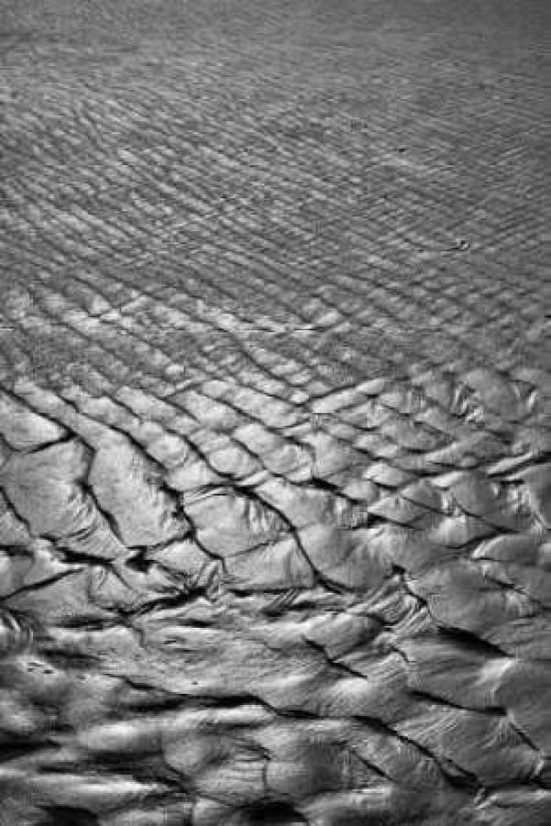 Texture Sand IV Canvas Art - Lee Peterson (24 x 36)