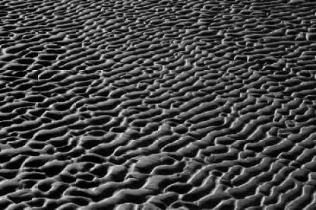 Texture Sand VI Canvas Art - Lee Peterson (12 x 18)