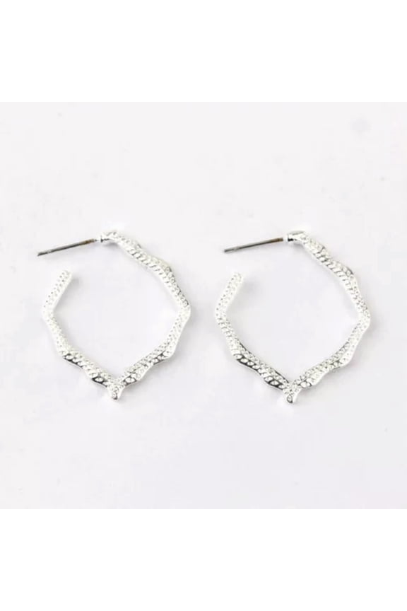 Textured Geometric Hexagon Hoop Earrings Filigree Floral Round Miku Hoop Women