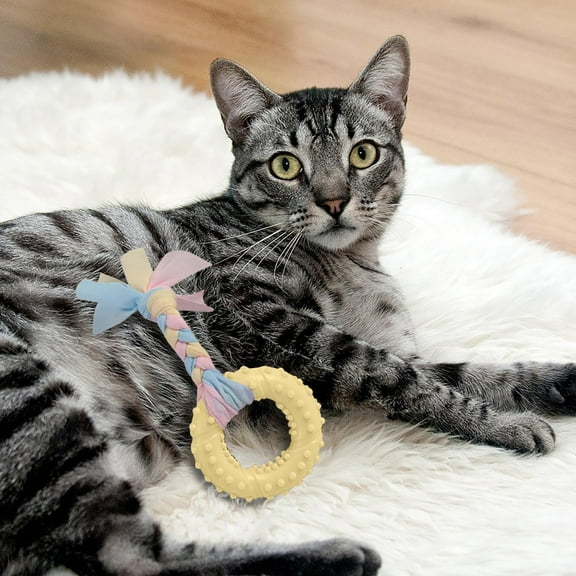 Textured Ring Rope Dog Chew Toy – Durable Plastic for Interactive Play and Teeth Cleaning – C