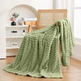 thumbnail image 1 of Textured Velvet Plush Soft Fleece Throw Blanket, Oversized Green Blanket, 50×60 inches Blanket By XSAOP, 1 of 7