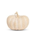 thumbnail image 1 of MDR Trading AB-27-ZUCCA-930-Q01 6 x 6 x 4.50 in. Textured & Whitewashed Pumpkin Figurine - Tan, 1 of 1