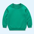 thumbnail image 1 of Teyfeniy Green Toddlers Sweatshirt Long Sleeve Solid Color Crew Neck for Kids Daily Wear Thin Fall Winter Pullover Tops, for 1 to 13 Years, 1 of 3
