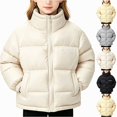 thumbnail image 1 of Teylalorva Girls Outerwear Jackets Stand Collar Zip Up Thick Warm Puffer Coat Long Sleeve Winter Outerwear（1-11） Beige Size 2T, 1 of 8