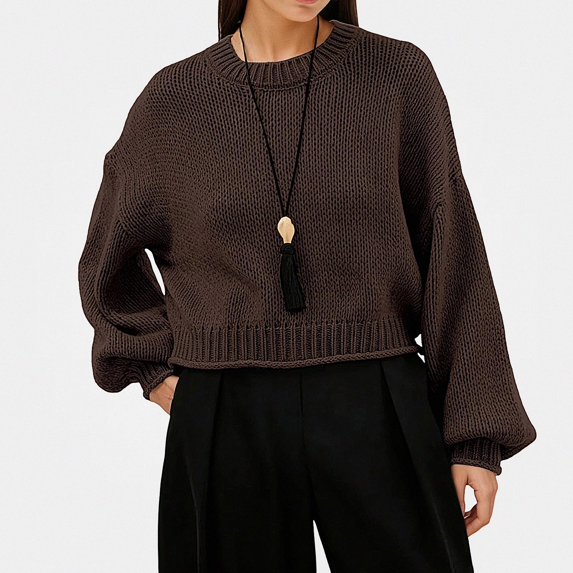 Teylalorva Women's Sweater Crew Neck Plain Long Sleeve Knit Pullover Essential Basic For Closet Coffee Size XL
