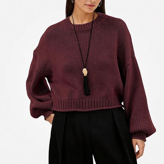 Teylalorva Women's Sweater Crew Neck Plain Long Sleeve Knit Pullover Essential Basic For Closet Wine Size S