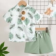 thumbnail image 1 of Tfken Boys Outfit Set Size 3 Years-4 Years Short Sleeve Casual Prints Tops Holiday T Shirt Short Pants Suit Toddler Boy Outfit Green, 1 of 9