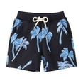 thumbnail image 1 of Tfken Summer Boys Shorts Drawstring Hawaii Print Beach Shorts With Pockets Casual Fashion Teen Soft Clothes Black Size 1-2 Years, 1 of 7