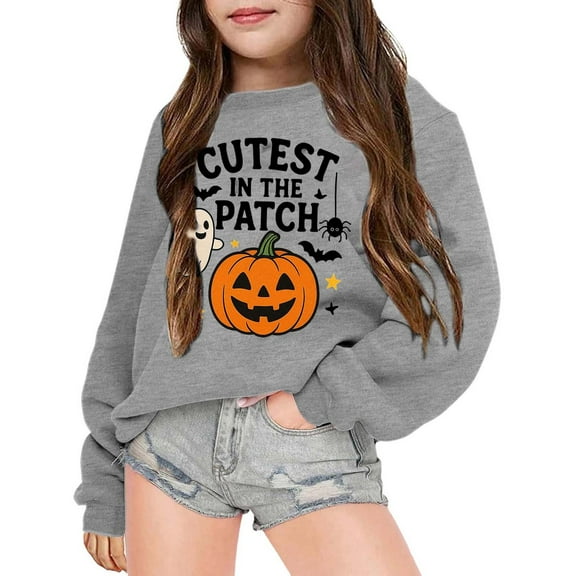 Tfken Sweatshirt For Toddler Girls Halloween Long Sleeve Pumpkin Print Pullover Sweater Outdoor Crew Neck Summer Grey Tops Size 3-4 Years