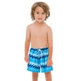 thumbnail image 1 of Tfken Toddler Boys Swim Trunks Soft Swimwear Summer Hawaii Print Blue Board Shorts Size 2-3 Years, 1 of 3