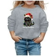 thumbnail image 1 of Tfken Toddler Kids Girls Sweatshirt Size 4-5 Years Long Sleeve Crew Neck Cat Print Cute Pullover Sweater Comfortable Light Gray Tops, 1 of 4