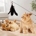 thumbnail image 1 of Tgbvmt Cat Feather Bell Teaser Wand 19.29In Spring Rotation Replaceable Feathers Catnip Chamber Bite Resistant for Owner Pet Interactive Training Obese Cat Exercise Indoor Pet Toy Decor, 1 of 6