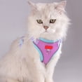 thumbnail image 1 of Tgbvmt Pet Sleeveless Reflective Harness Leash Breathable 5-Point Safety Adjustable Size Quick Dry Emergency Handle for Outdoor Cats Dogs Walking Hiking Night Stroll Pet Supplies Decor, 1 of 6