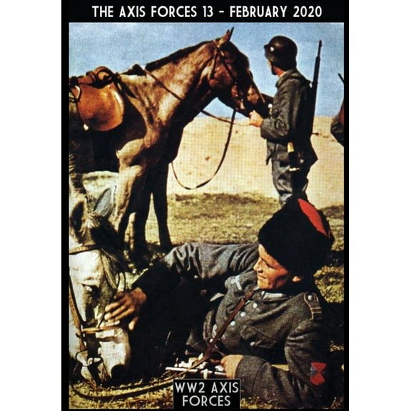 Tha Axis Forces The axis force 13, Book 13, (Paperback)