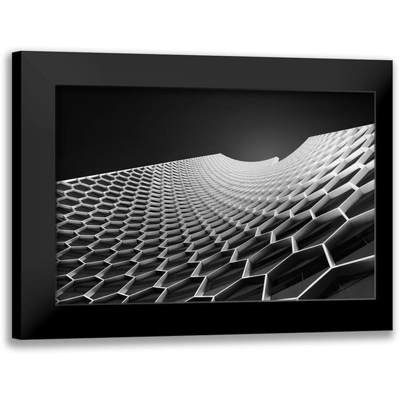 Thabet, Ahmed 18x13 Black Modern Framed Museum Art Print Titled - Beehives