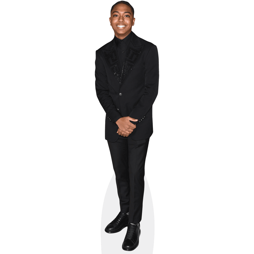 Thaddeus J. Mixson (Black Suit) Life Size Cutout. Standee. - Walmart.com