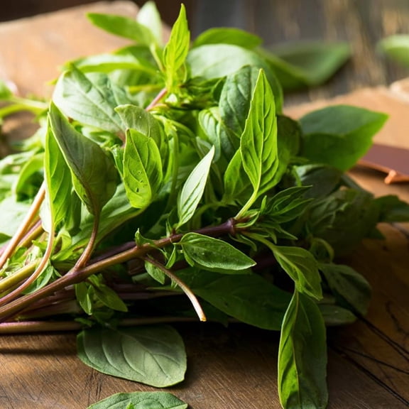 Thai Basil 250 Seeds | Heirloom Aromatic Culinary Herb