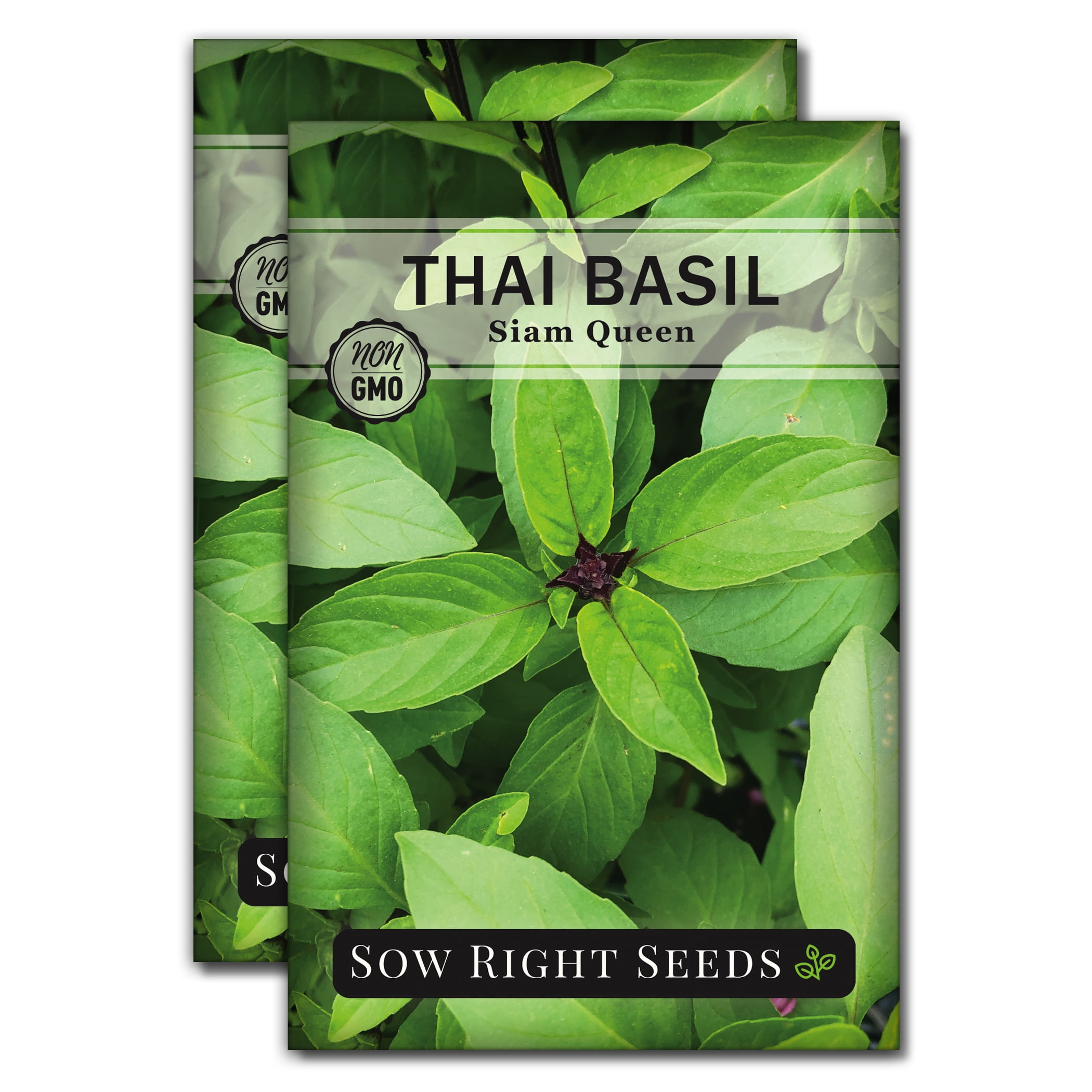 Thai Basil Seeds for Planting Non GMO Heirloom Varieties for your