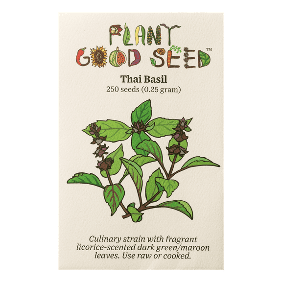 Thai Basil Seeds