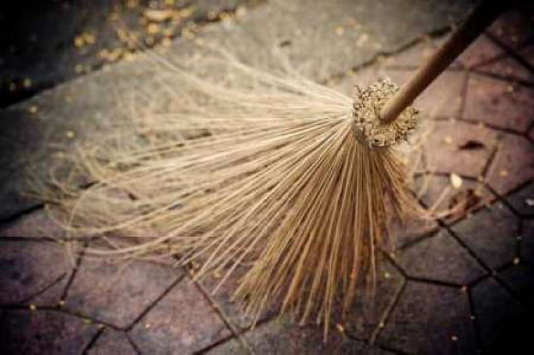 Thai Broom I Canvas Art - Erin Berzel (12 x 18)