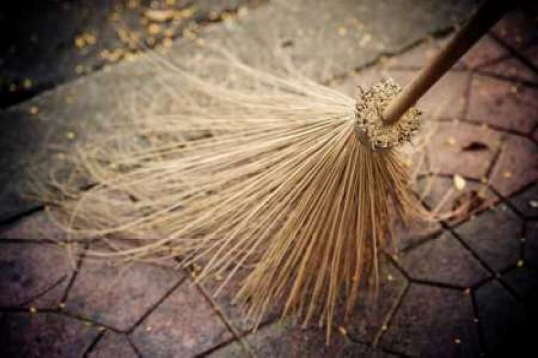 Thai Broom I Canvas Art - Erin Berzel (24 x 36)