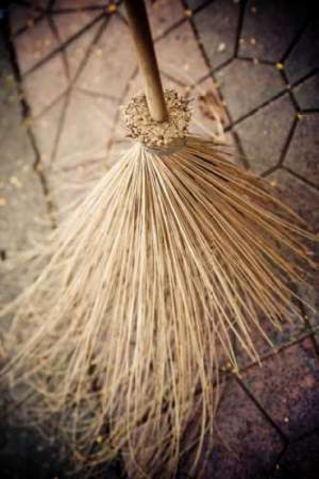 Thai Broom II Canvas Art - Erin Berzel (12 x 18)