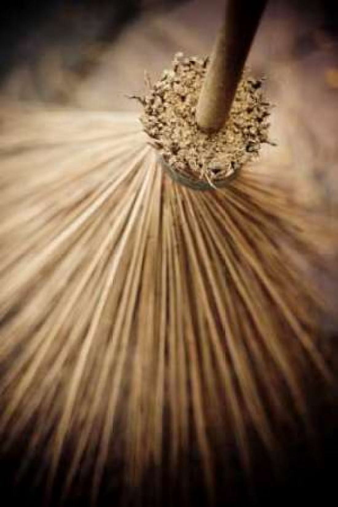 Thai Broom III Canvas Art - Erin Berzel (24 x 36)
