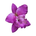 thumbnail image 1 of Thai Orchid Hairpin - Inspired by Tropical Flowers, Professional-grade Hair Clip, Stylish Accessory for Any Occasion, 1 of 1
