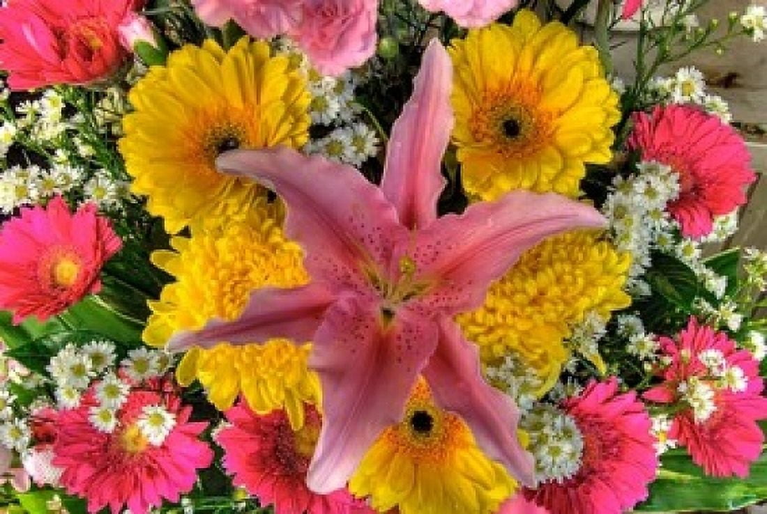 Thailand Bangkok Close-up of flowers on display at market Canvas Art - Jaynes Gallery DanitaDelimont (36 x 24)