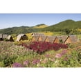 thumbnail image 1 of Thailand, Bungalows in Toong Bua Tong Forest Park; Mae Hong Son Province Poster Print (34 x 22), 1 of 3