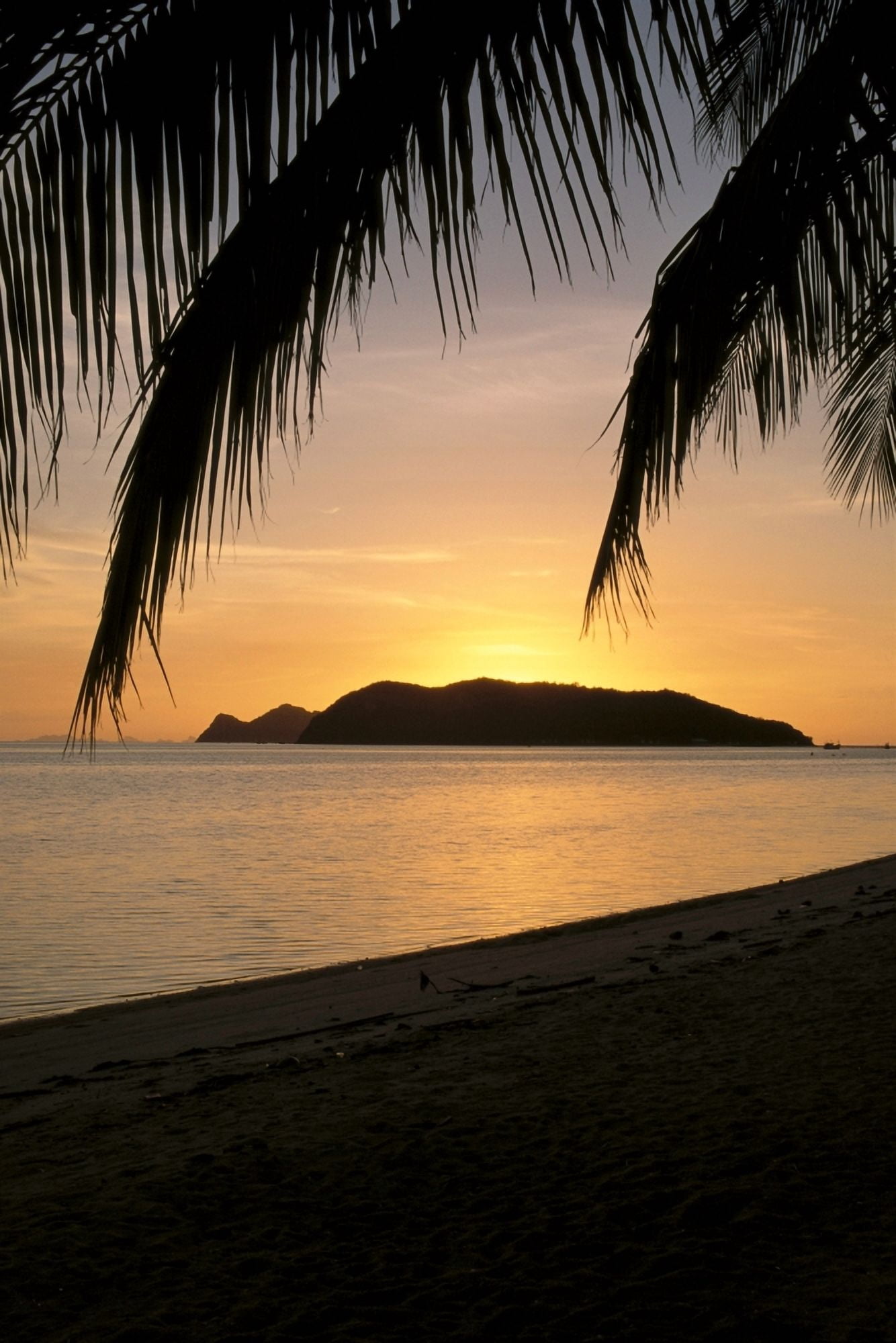 Thailand Koh Phangan Thong Sala Over Tae Nai At Sunset Ocean Beach Palm Frond A75F Canvas Art - Robert Sablan  Design Pics (24 x 38)