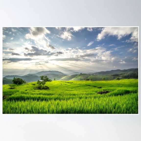 Thailand Rice Field With Mountain Landscape Poster Wall Art, Modern Wall Decor, 24x36 UNFRAMED