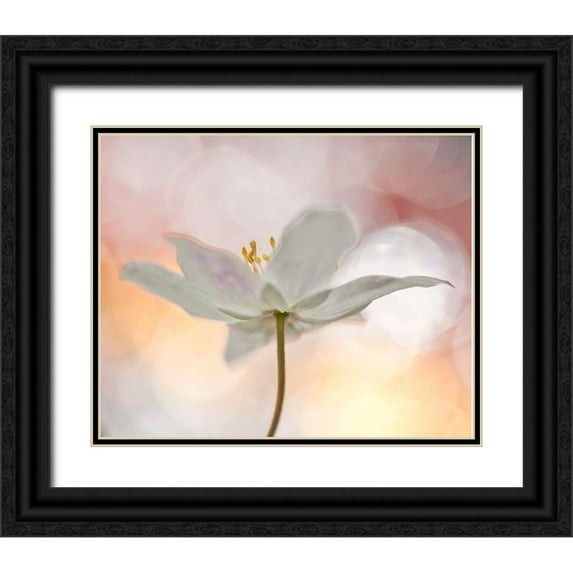 Thalin, Bee 24x20 Black Ornate Wood Framed with Double Matting Museum Art Print Titled - A Sip Of Art