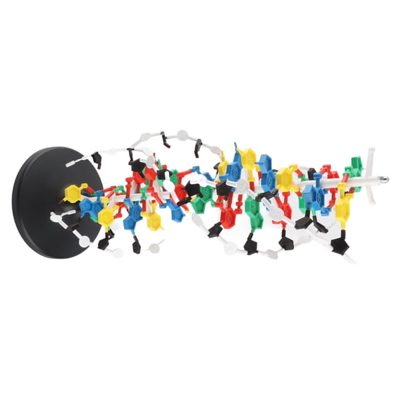 Thalyn Plastic DNA Model DNA Structure Model, Plastic DNA Double Model for Teaching