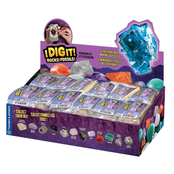 I Dig It! Rocks Fossils - 24 Mini Excavation Gift Set - 2L