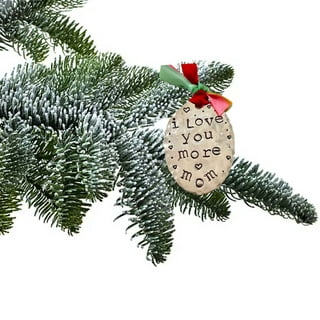 https://i5.walmartimages.com/seo/Thank-You-Christmas-Ornament-Gratitude-Tree-Decoration-Winter-D-cor-Family-Friends-Neighbor-First-Responder-Elegant-Refined-Design-Includes-Ribbon_fc3249a3-c804-45c7-964d-9680ac1502da.55887d264aeee577e48098c979595513.jpeg?odnHeight=320&odnWidth=320&odnBg=FFFFFF