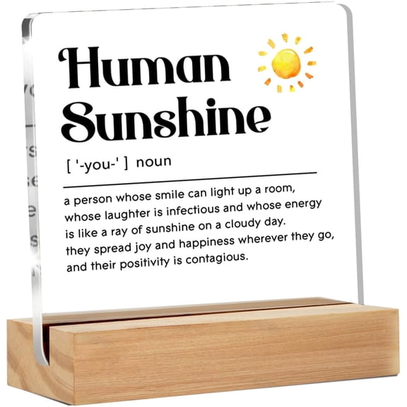 Thank You Gifts for Women Men, Gifts for Friends Coworker Sister Mom Dad BFF Boss Teacher Nurse, Human Sunshine Definition Clear Acrylic Sign for Home Decor, 4x4 Inch