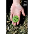 thumbnail image 1 of Thank You, (Paperback), 1 of 6