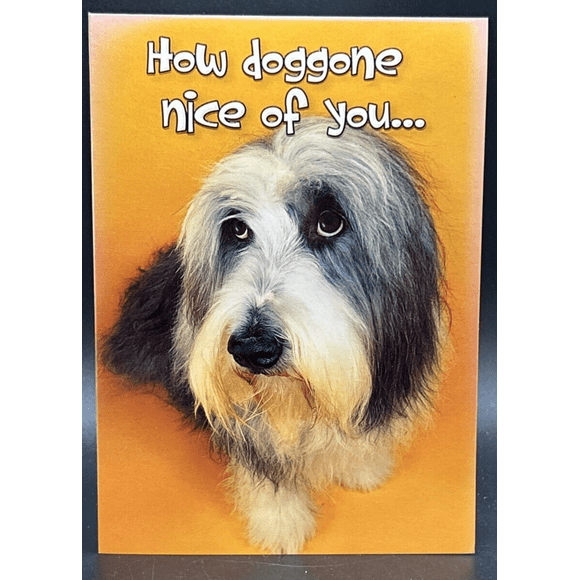Thank You (Paws & Claws) Greeting Card w/Envelope