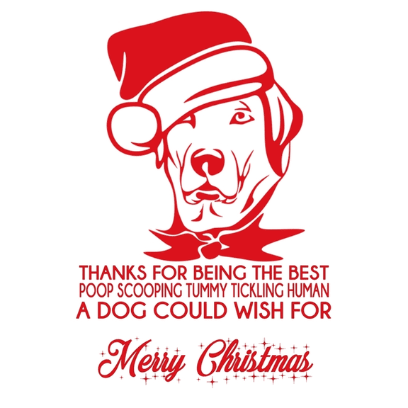 Thanks for being the best poop scooping tummy tickling human a dog could wish for merry Christmas : Funny Christmas Day Gifts: Softcover Notebook for Christmas (Christmas Day Cards) (Paperback)