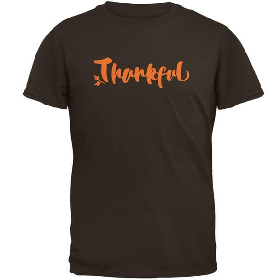 Thanksgiving Autumn Thankful Script Mens T Shirt Brown MD
