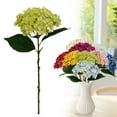 thumbnail image 1 of Thanksgiving Centerpiece Faux Hydrangea Flowers Fall Decorations For Home: Hydrangea Beige (Qty: 1 Of * Hydrangea) Artificial Flowers Artificial Plants Indoor, 1 of 7