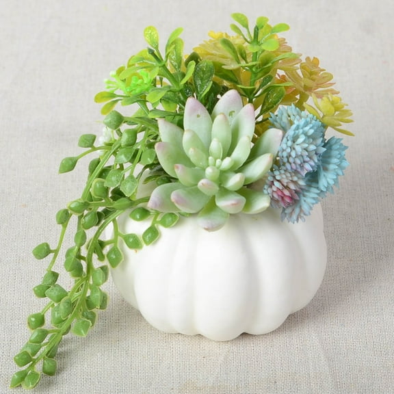 Thanksgiving Decorations, Artificial White Pumpkin and Plastic Succulents Autumn Fall Tabletop Decor Centerpiece Rustic Farmhouse Decoration for Office Bedroom Kitchen Party Harvest Day