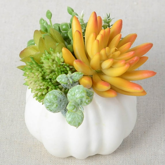 Thanksgiving Decorations Pumpkin with Plastic Succulents,Artificial Pumpkin Fall Harvest Décor for Table Home Kitchen Room Party