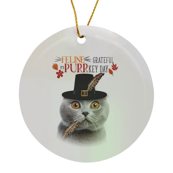 3drose, Thanksgiving Gray Scottish Fold Kitty for the Cat Lovers Thanksgiving, Circle Porcelain Ornament
