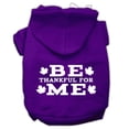 thumbnail image 1 of Thanksgiving Pet Dog  Cat Hoodie Screen Printed, "Be Thankful for Me", 1 of 10